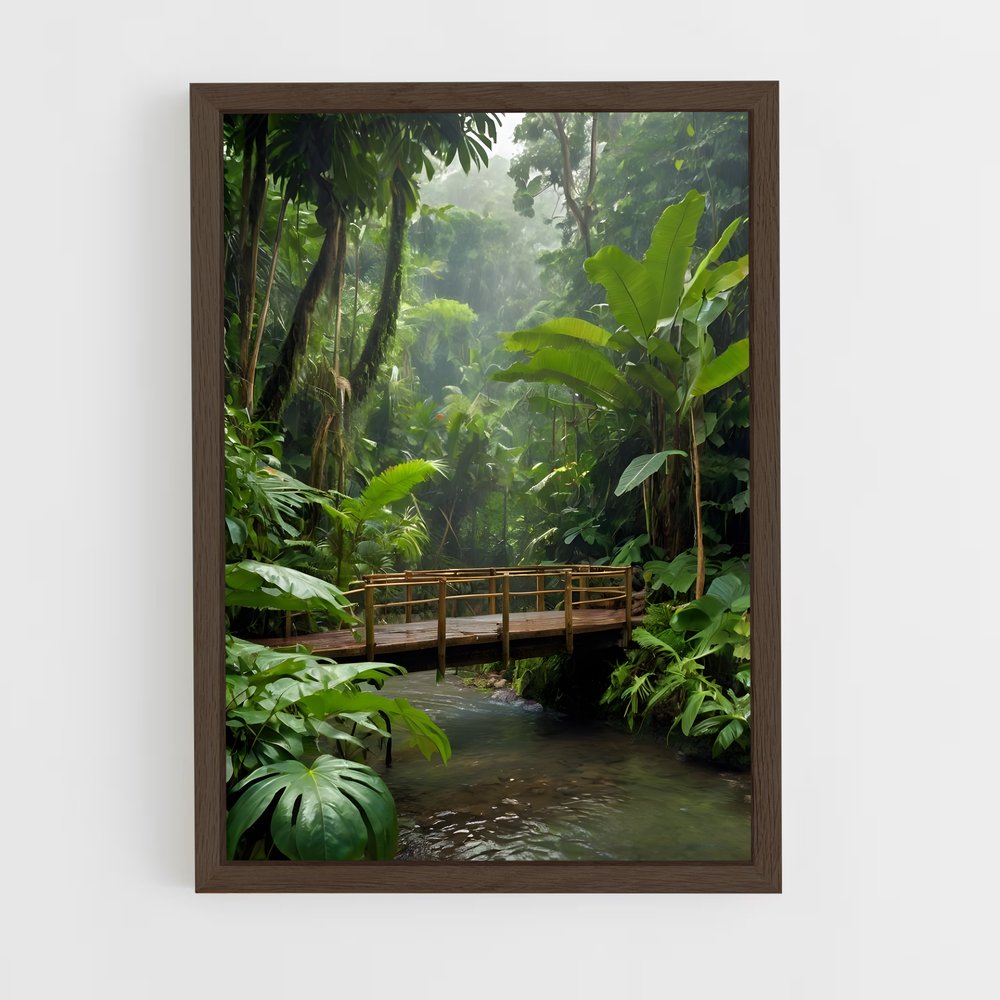 amazonia-7 cadre Bois foncé