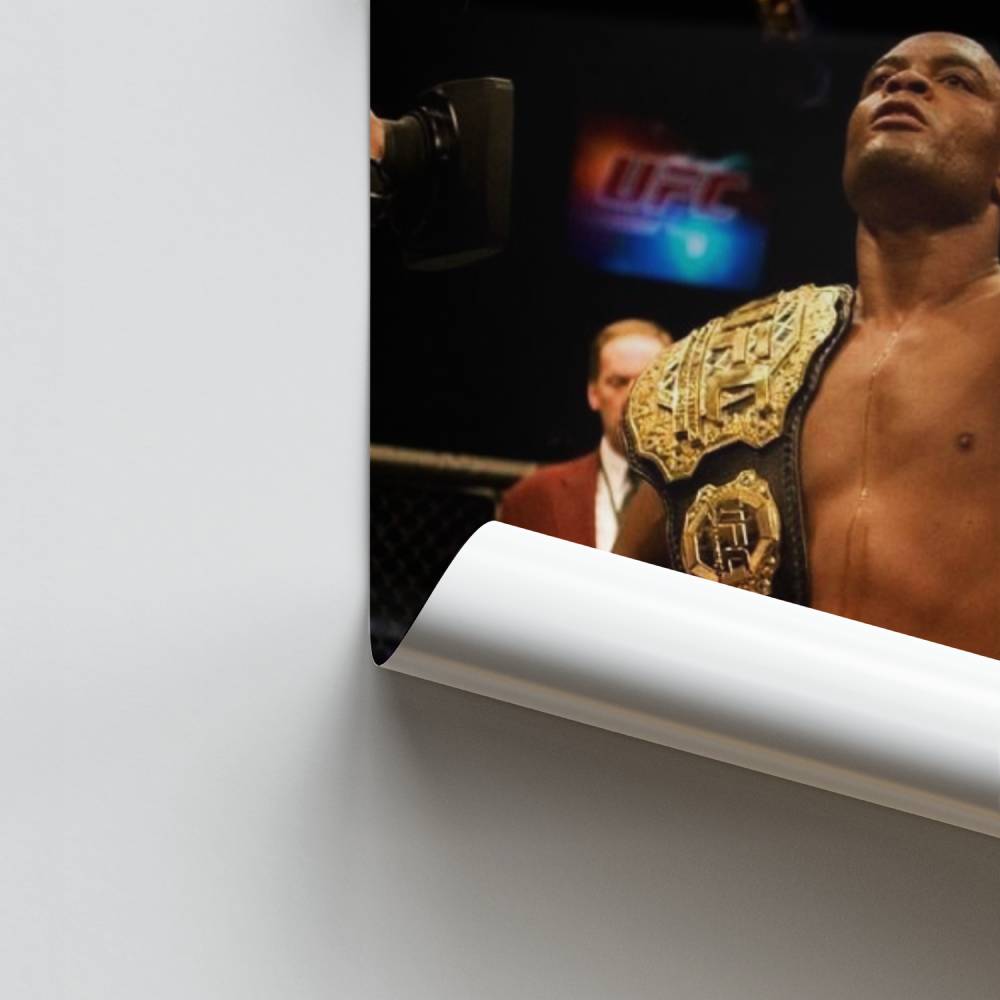 Poster Victory Anderson Silva