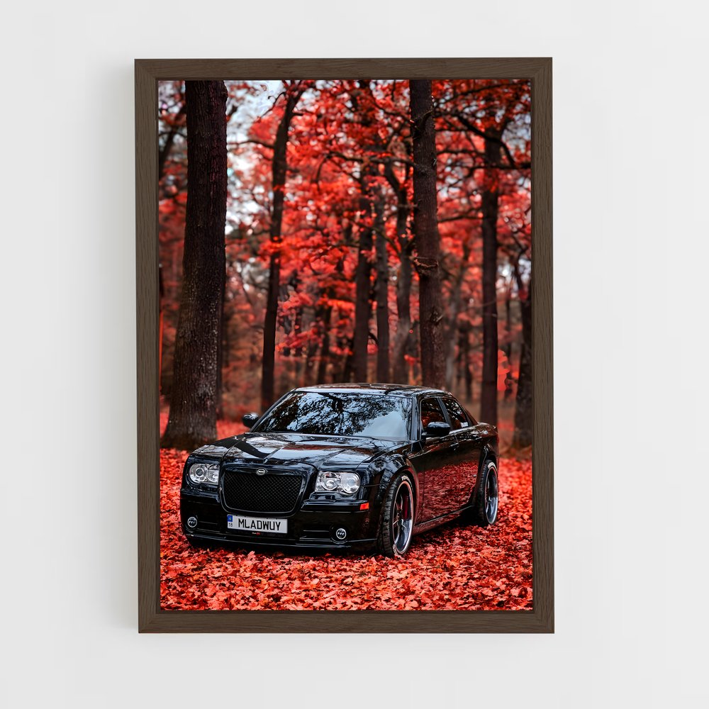 ap-300 srt-1 cadre Bois foncé