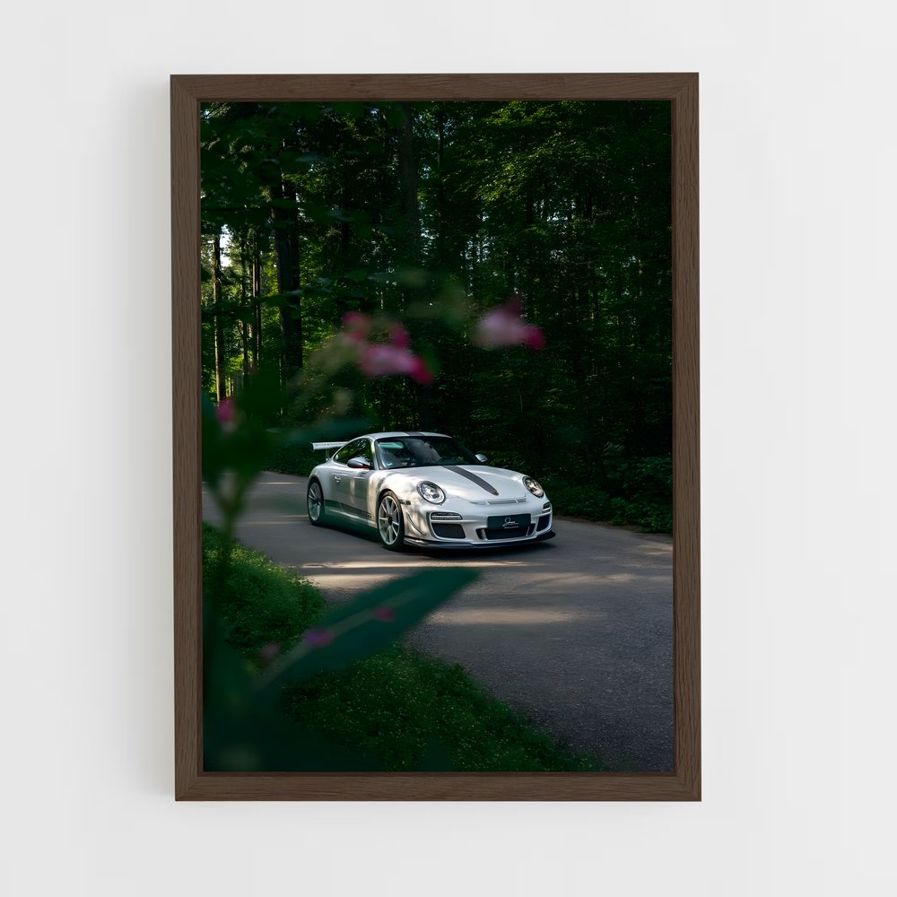 ap-997 gt3 rs-2 cadre Bois foncé