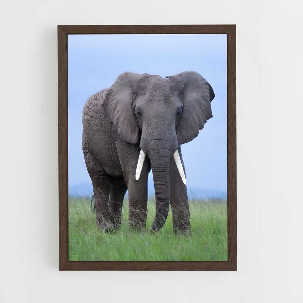 ap-african elephant-4 cadre Bois foncé