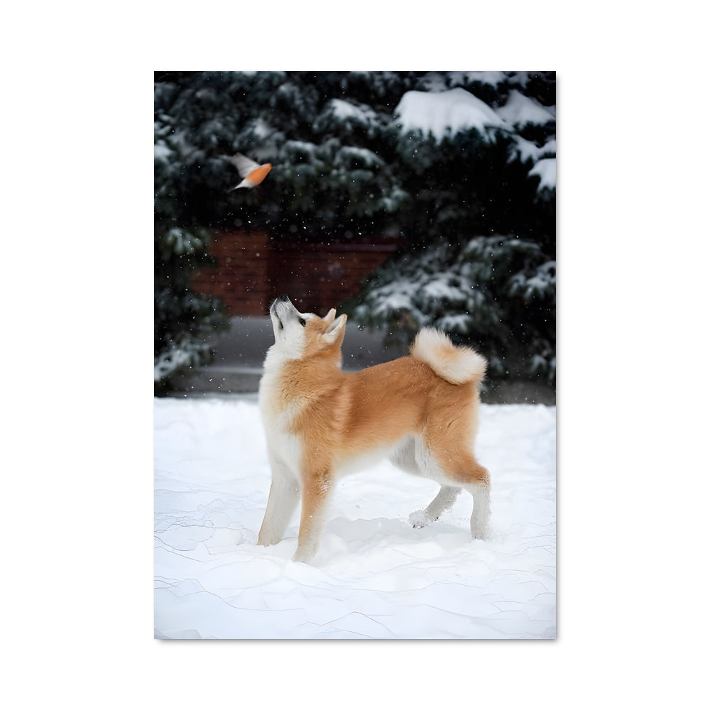 Poster Neige et Compagnie