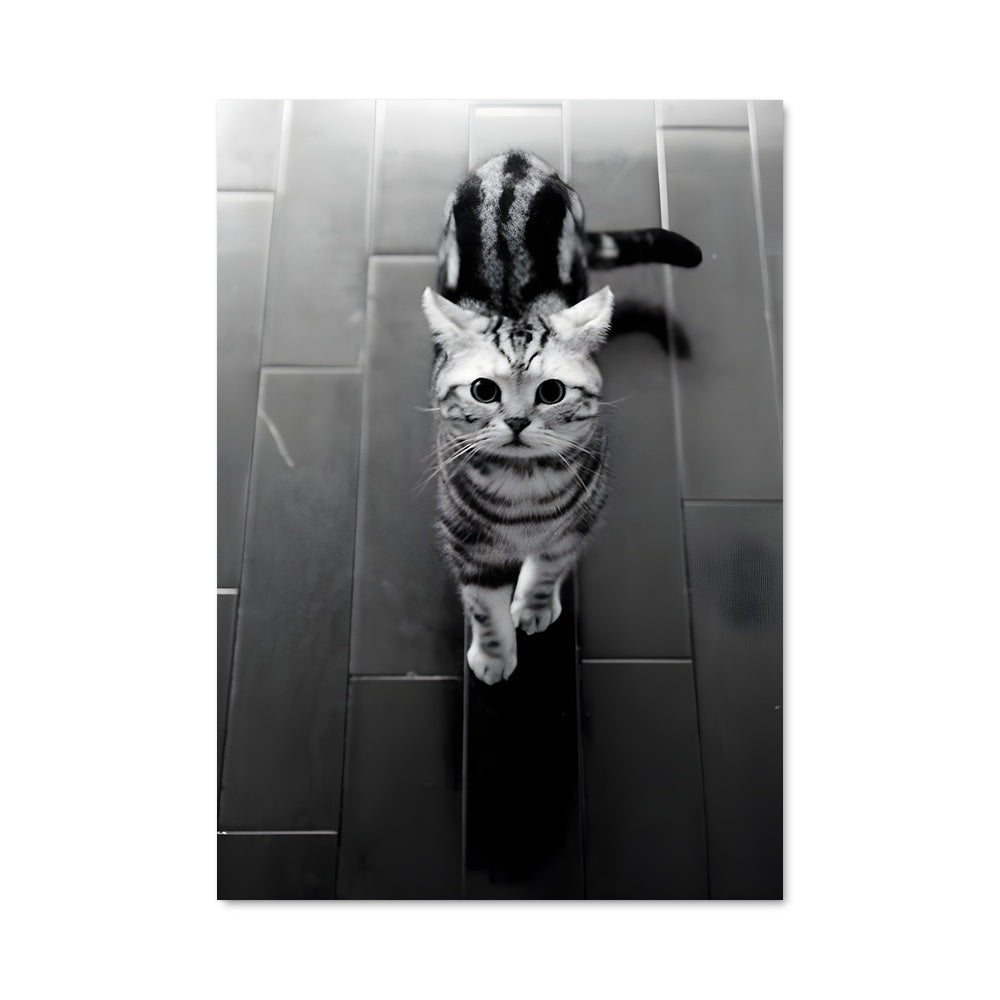 Poster Pas de Chat, Pas de Gâteau