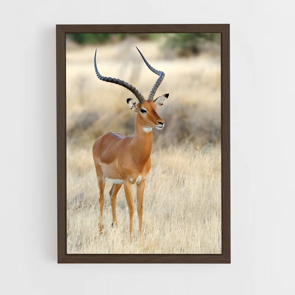 ap-antelope-1 cadre Bois foncé