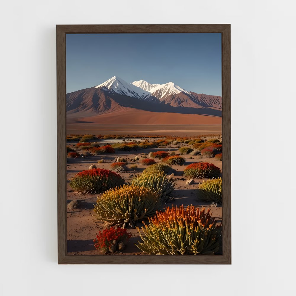 ap-atacama desert-6 cadre Bois foncé