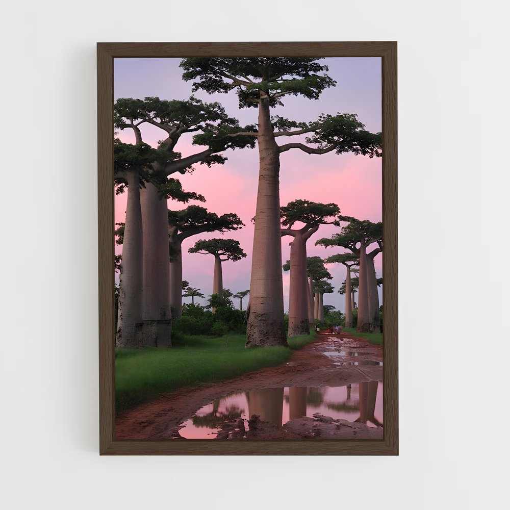 ap-baobab-7 cadre Bois foncé