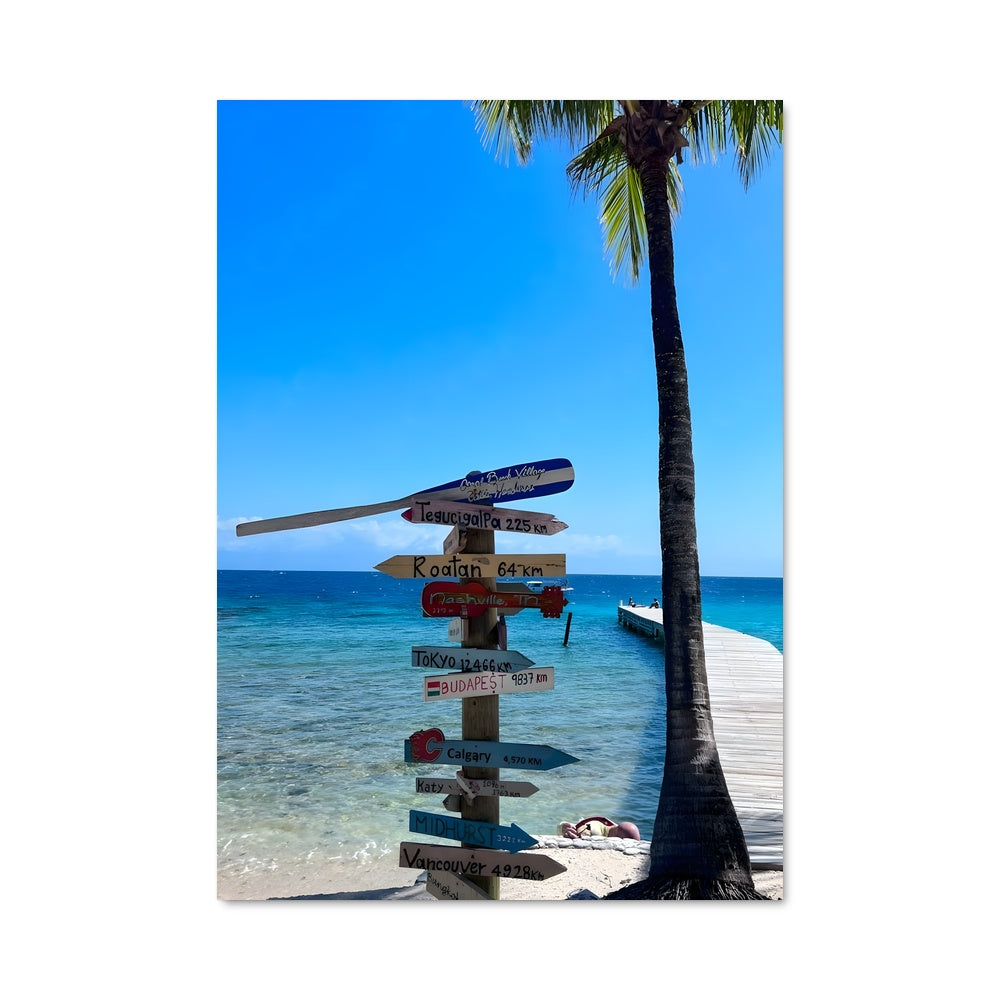 Poster Flèche des Tropiques