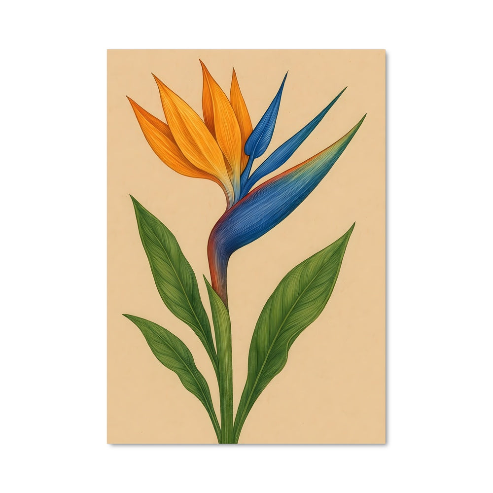 Poster Fleur de Paradis