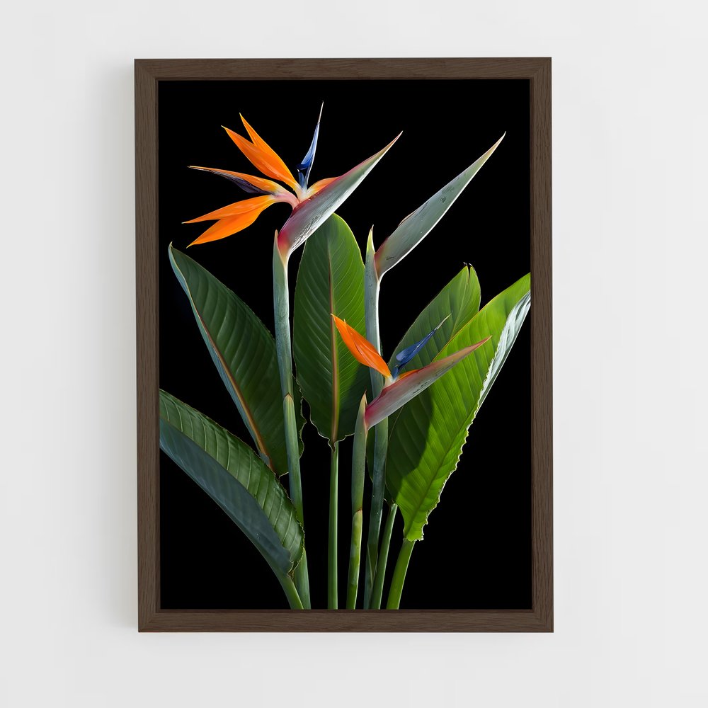 ap-bird of paradise-6 cadre Bois foncé