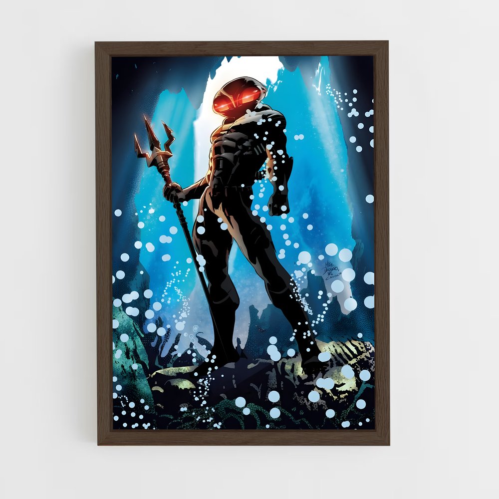 ap-black manta-13 cadre Bois foncé