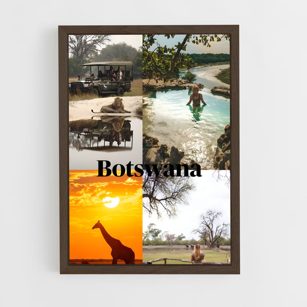 ap-botswana-1 cadre Bois foncé