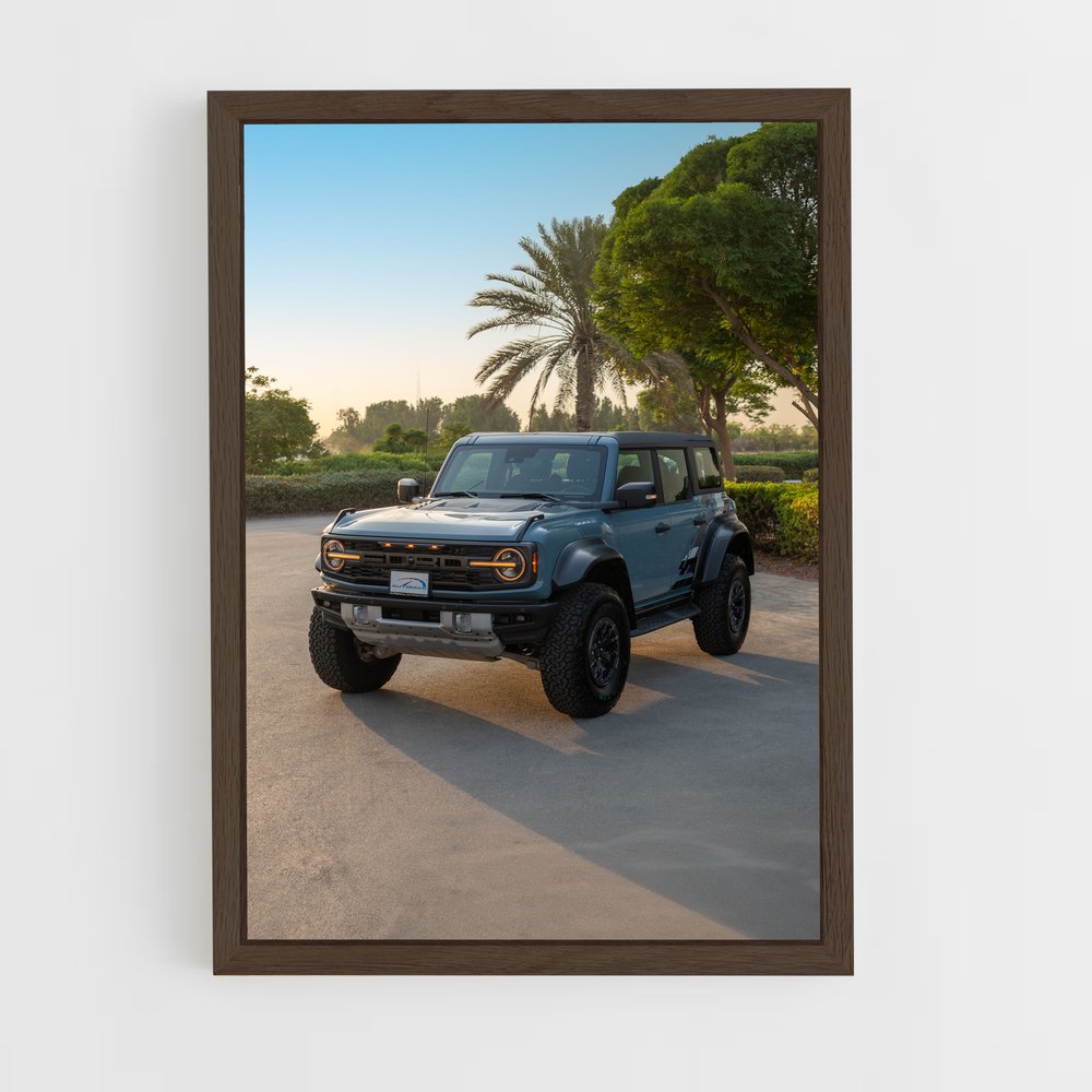ap-bronco raptor-1 cadre Bois foncé