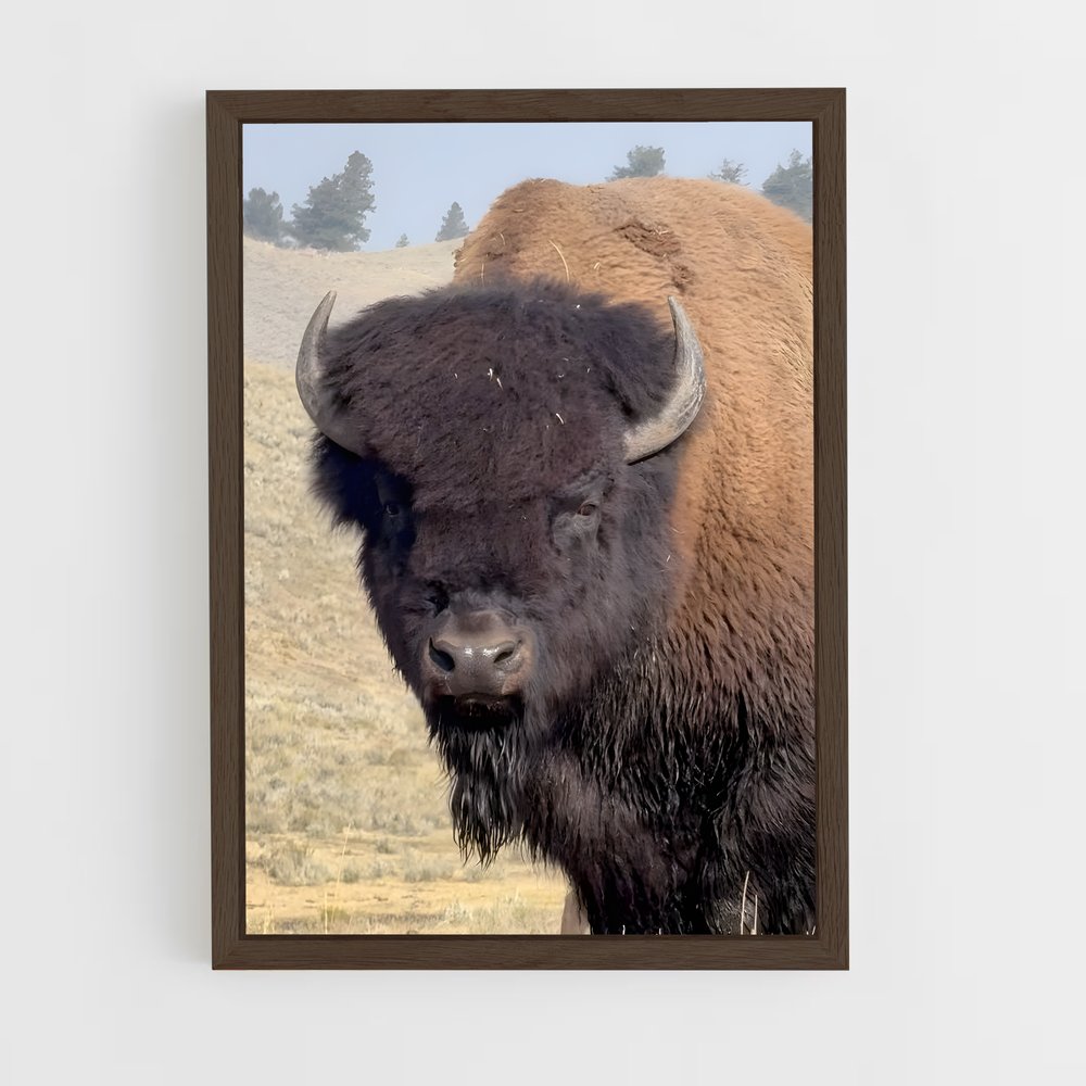 ap-buffalo-18 cadre Bois foncé