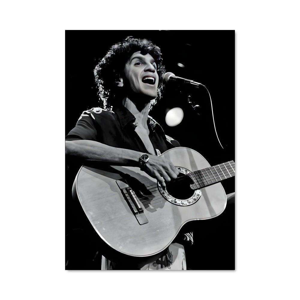 Poster Harmonies de Veloso
