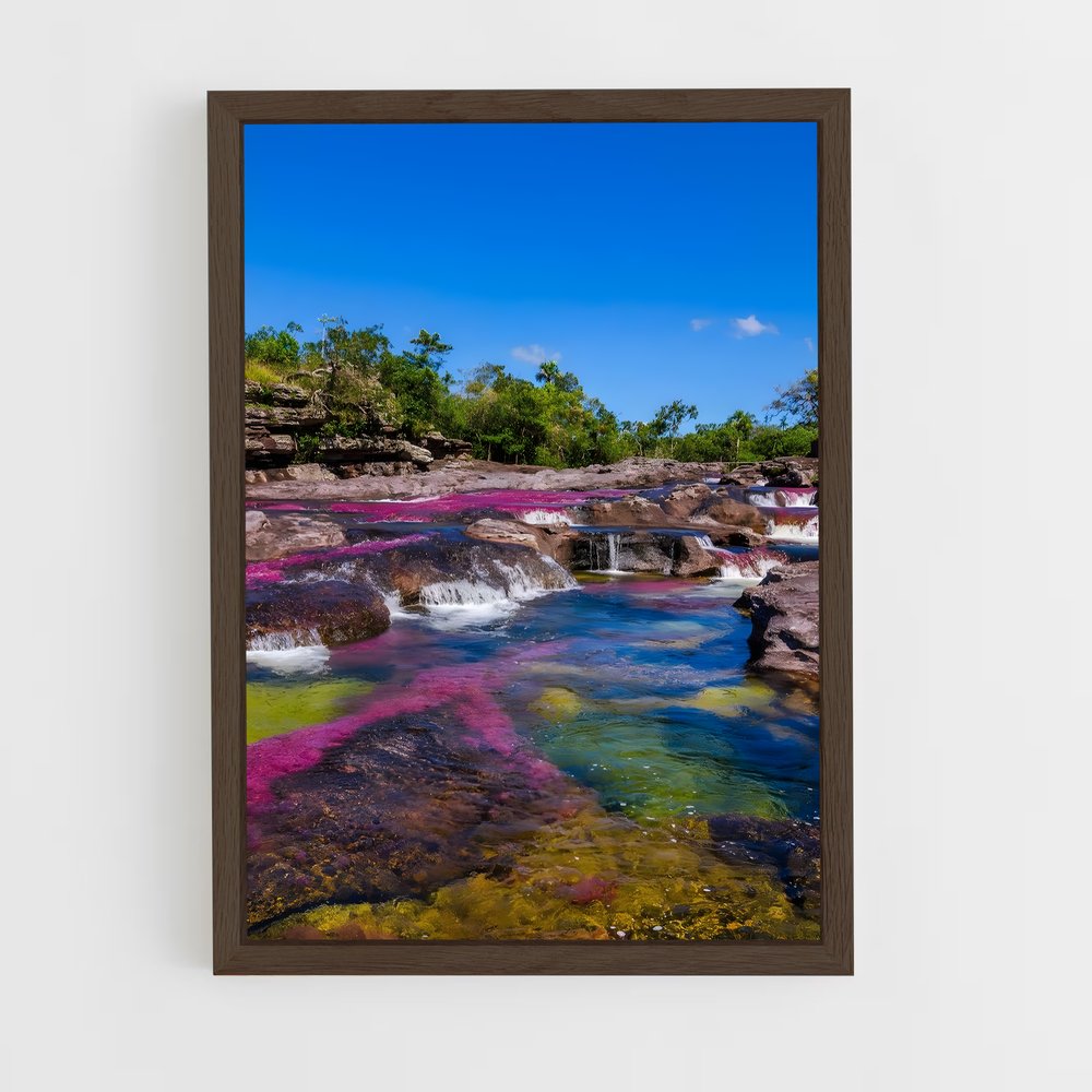 ap-cano cristales-1 cadre Bois foncé
