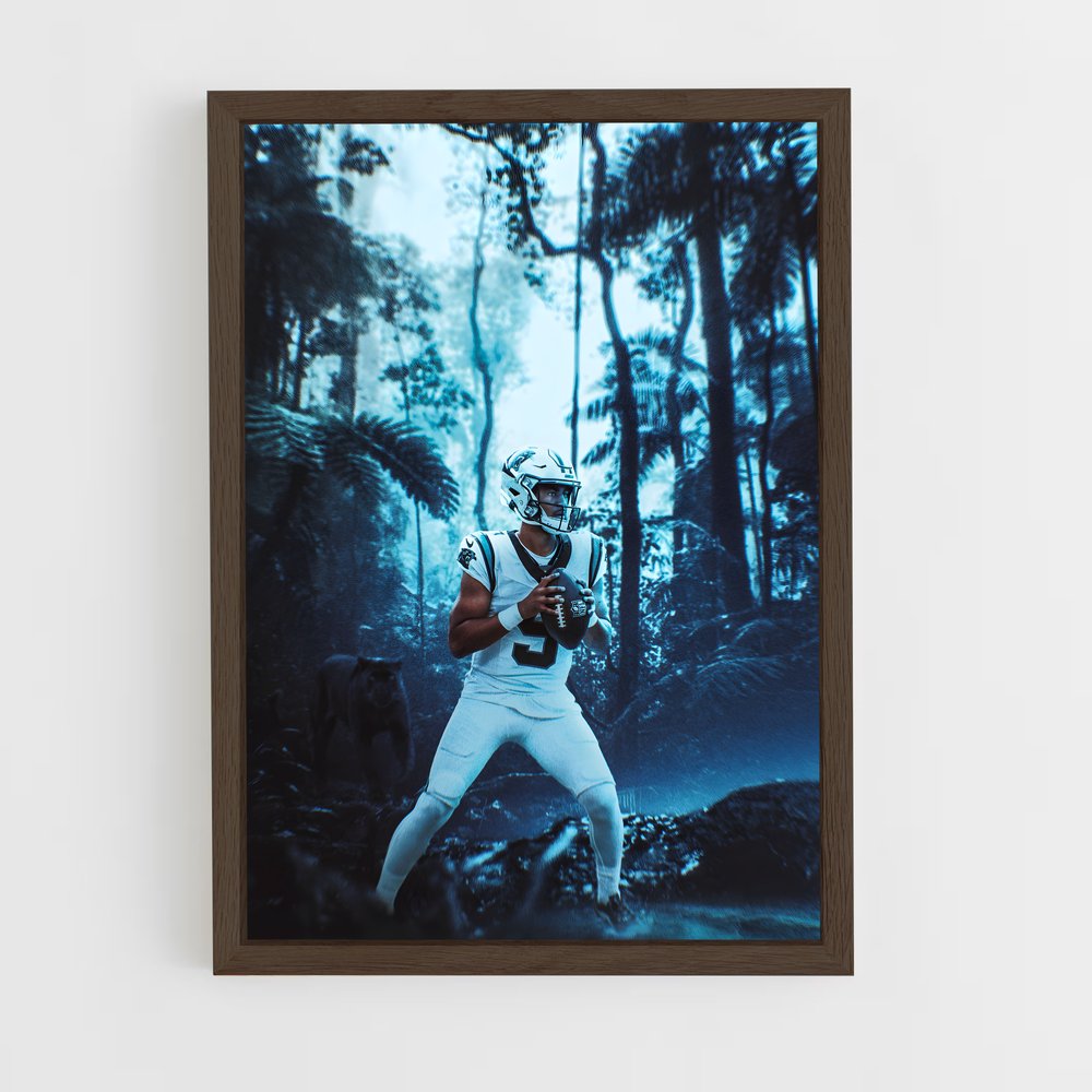ap-carolina panthers-3 cadre Bois foncé