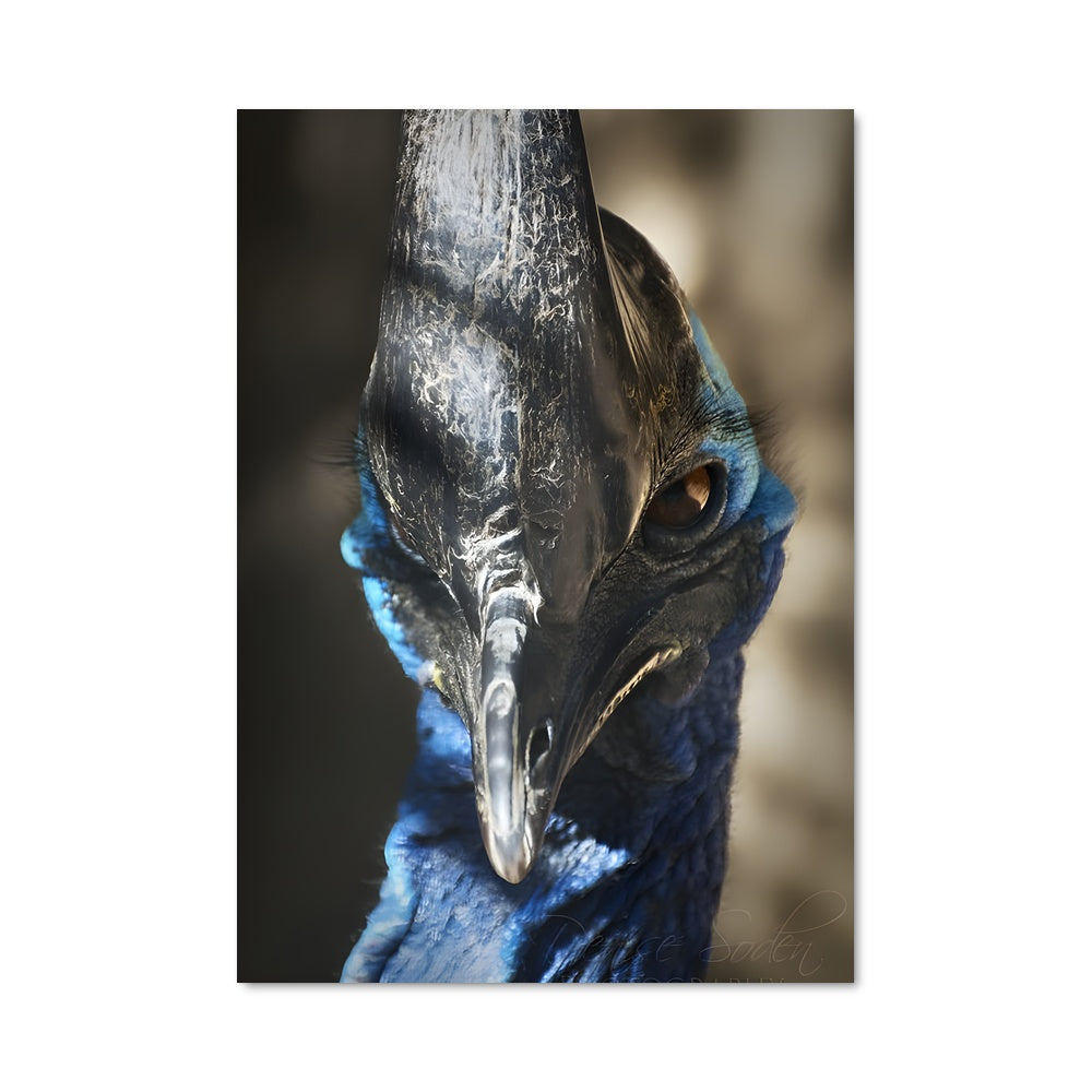 Poster Oiseau Précieux