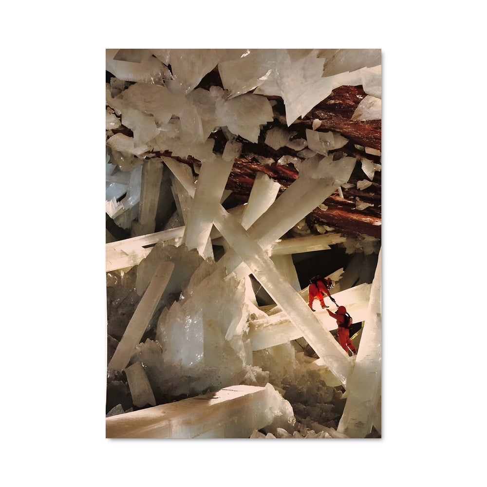 Poster Oiseau de Glace