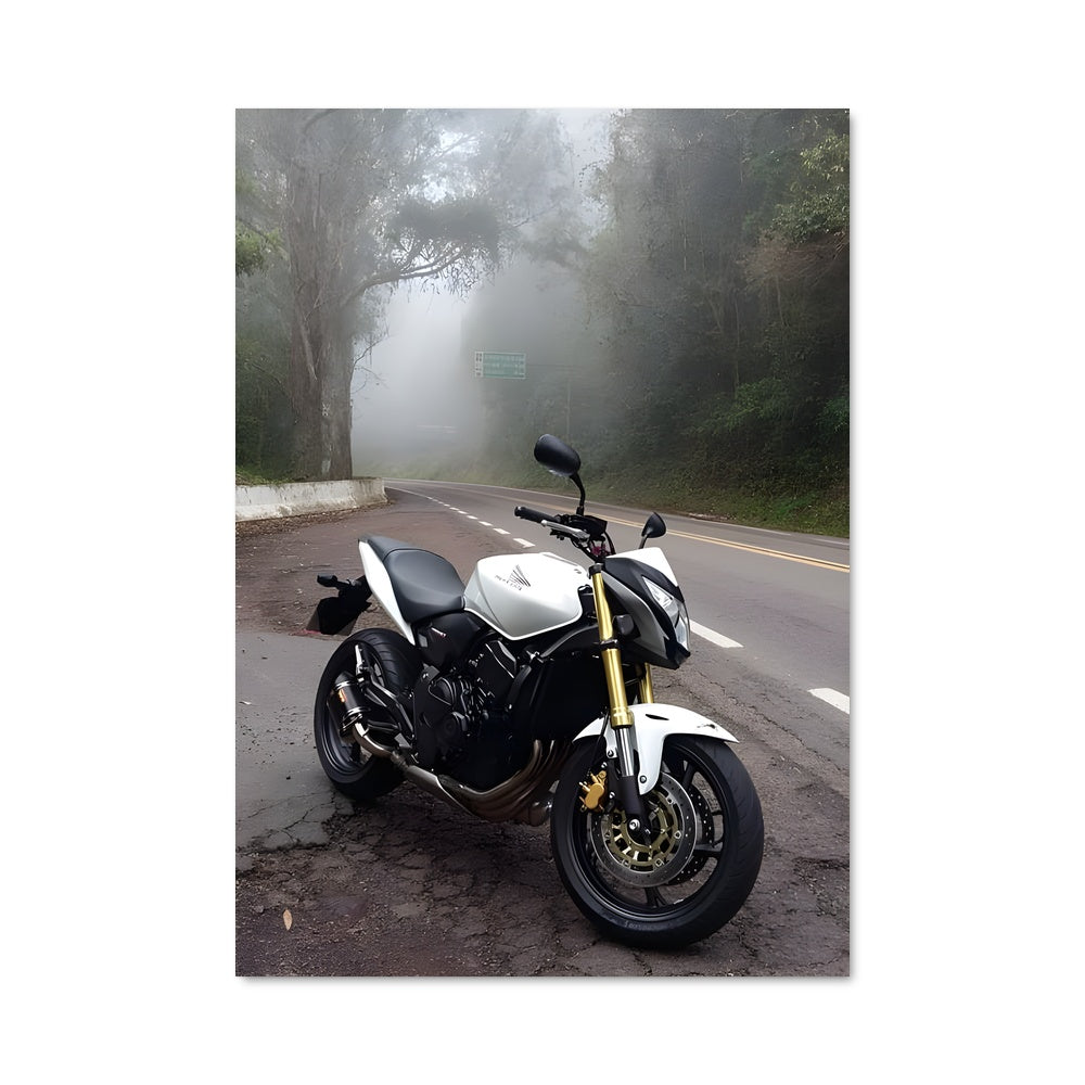 Poster Cb600f hornet 82269