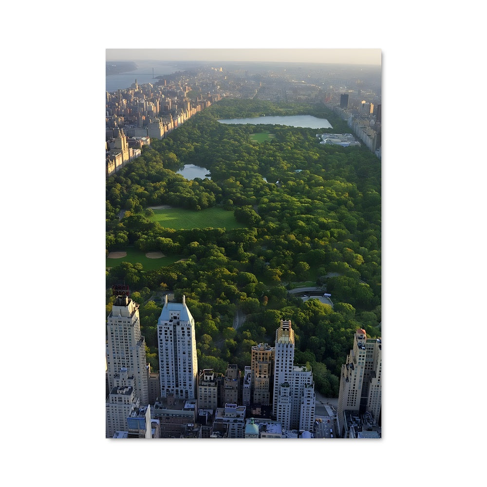 Poster Promenade à Central Park