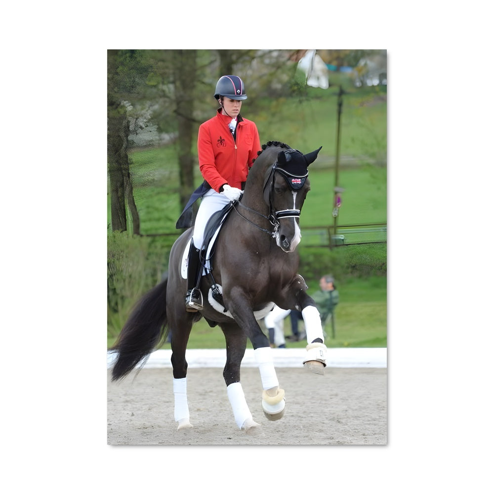 Poster Charlotte dujardin 67298