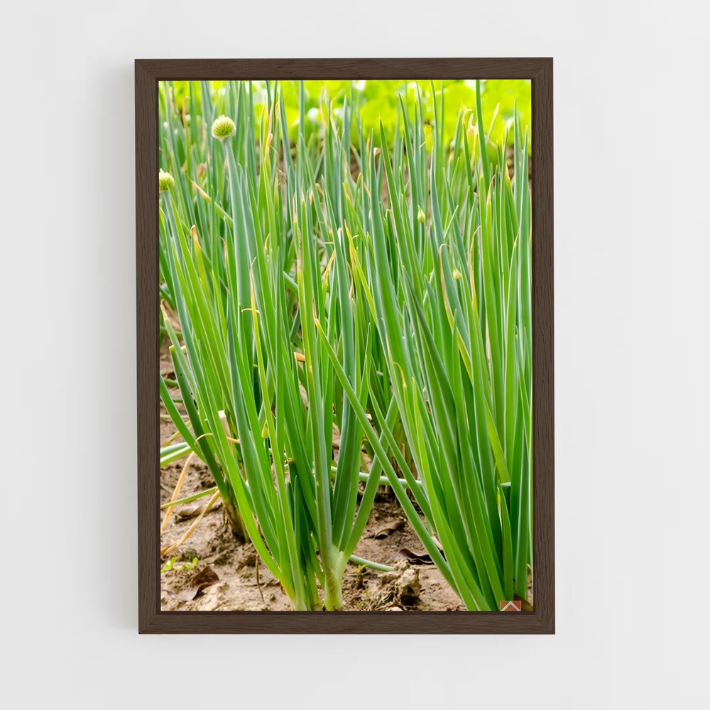 ap-chives-2 cadre Bois foncé