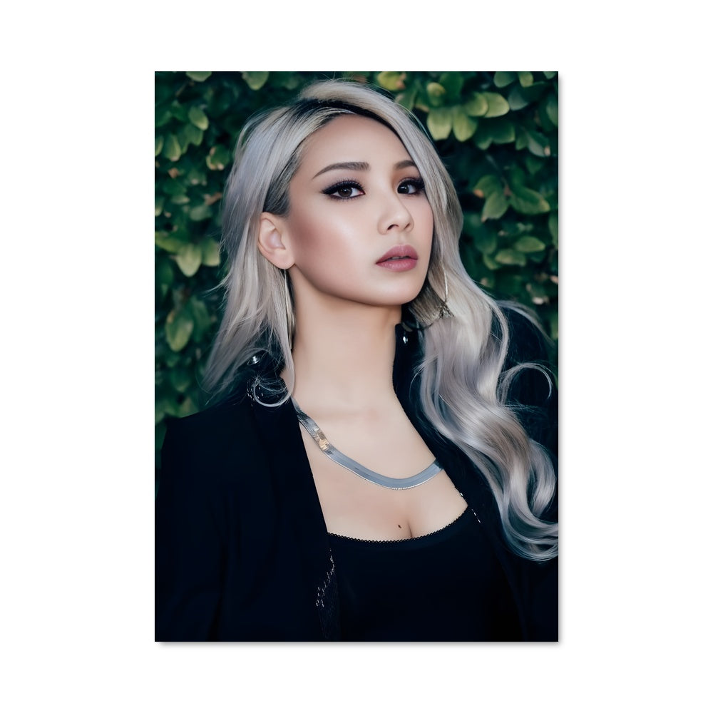 Poster Cl 53250