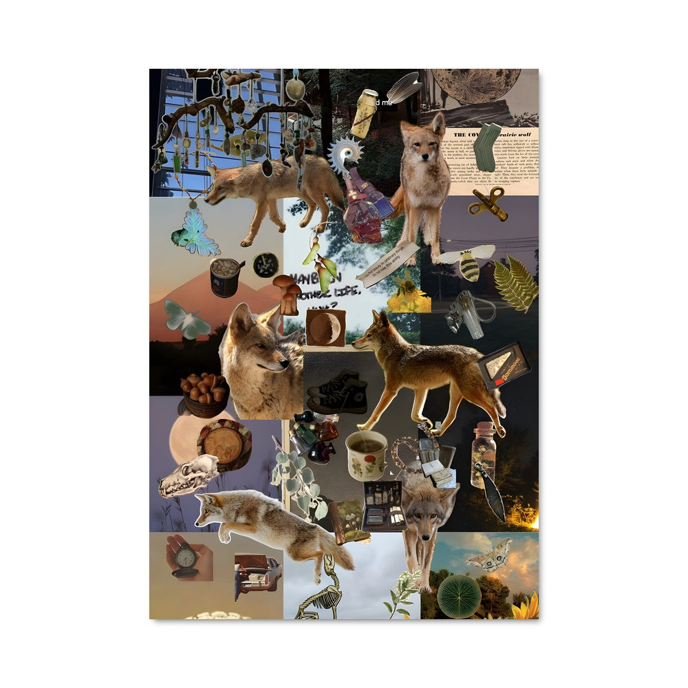 Poster Coyote Mystique