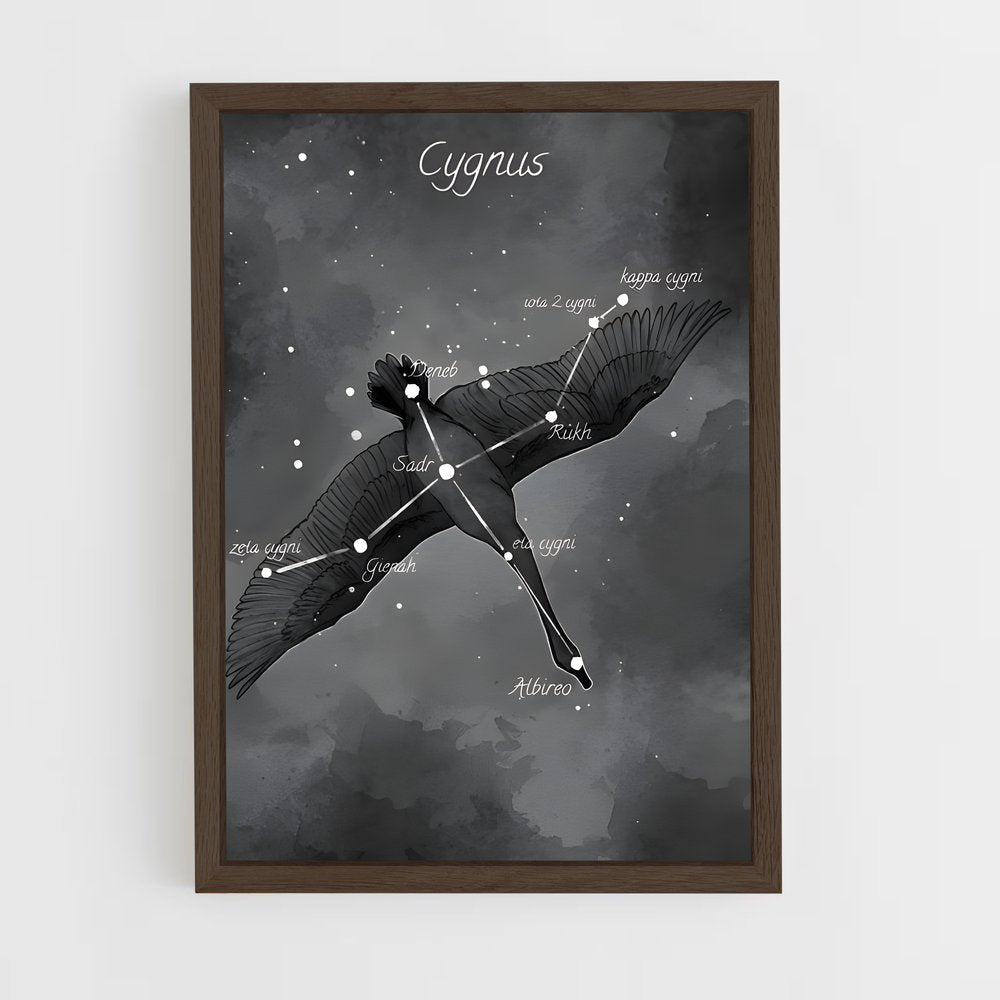 ap-cygnus-1 cadre Bois foncé