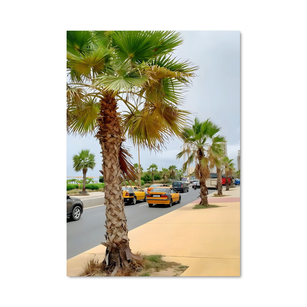 Poster Palmiers de Dakar