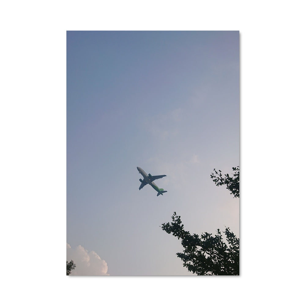 Poster Flying 80601