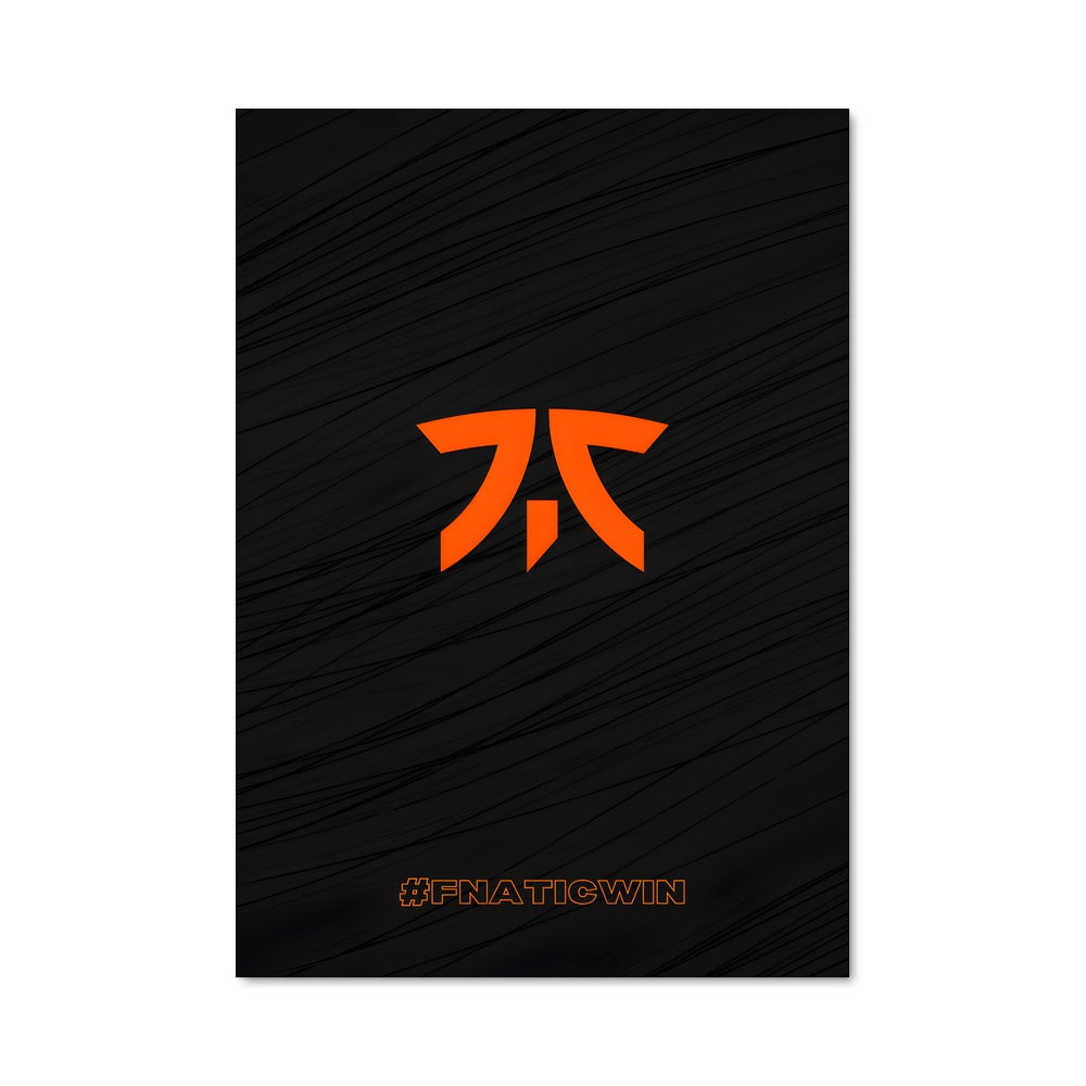 Poster Fnatic Spirit