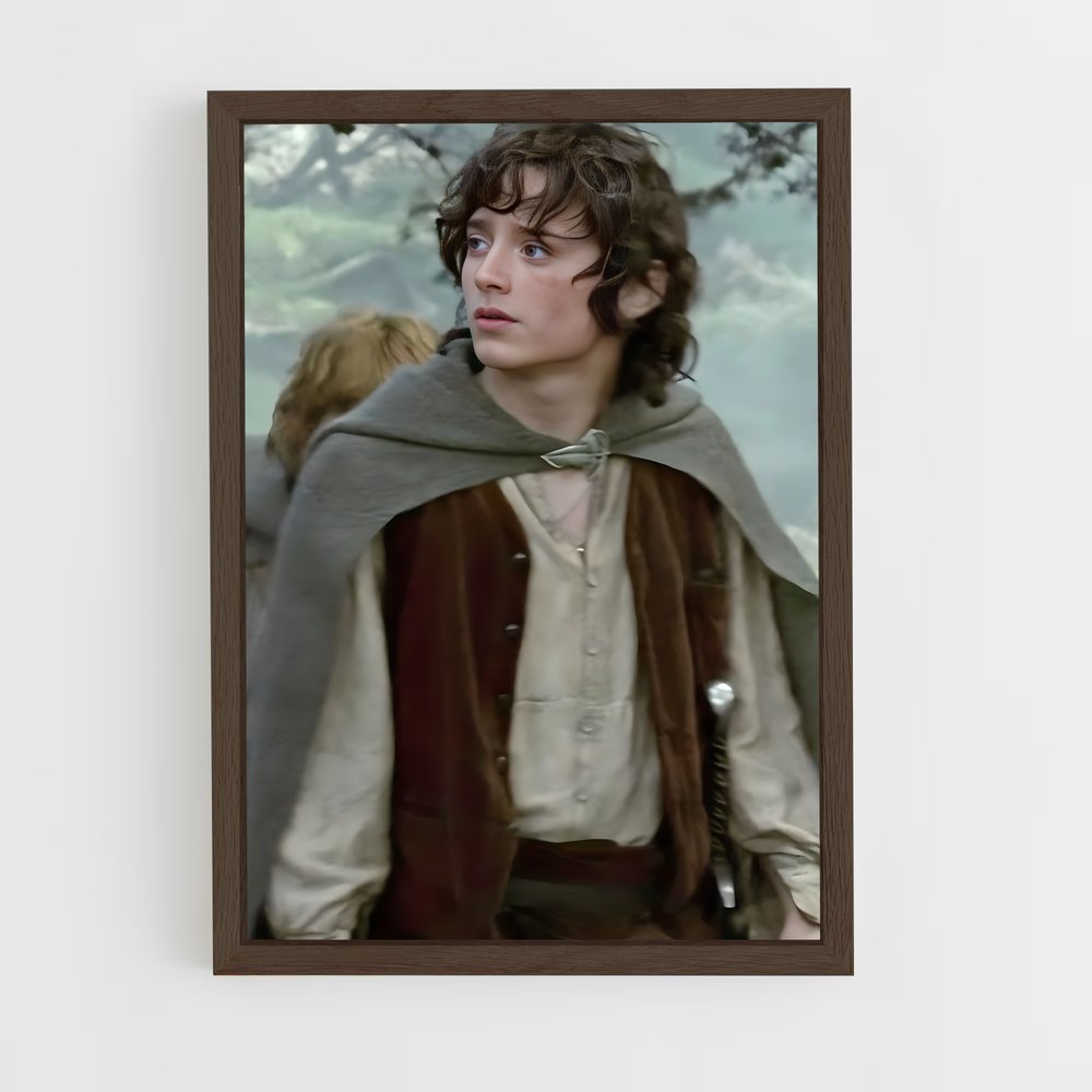 ap-frodo baggins-4 cadre Bois foncé