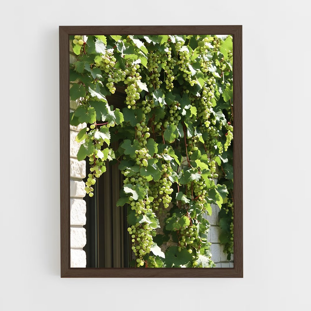 ap-grape vine-4 cadre Bois foncé
