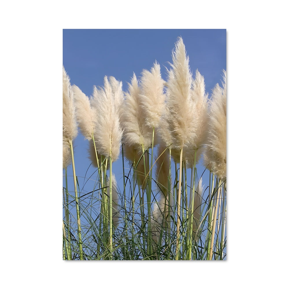 Poster Bouquets Enneigés