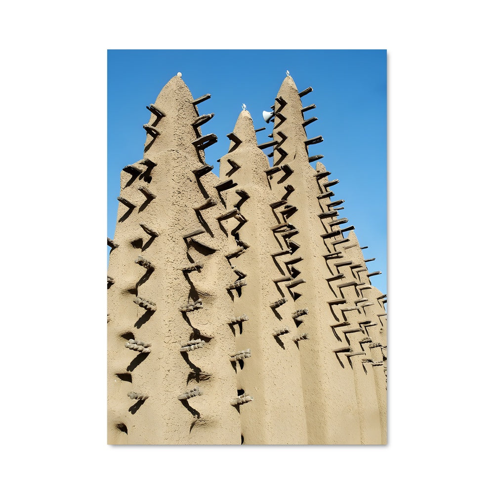Poster Oiseaux de Djenne