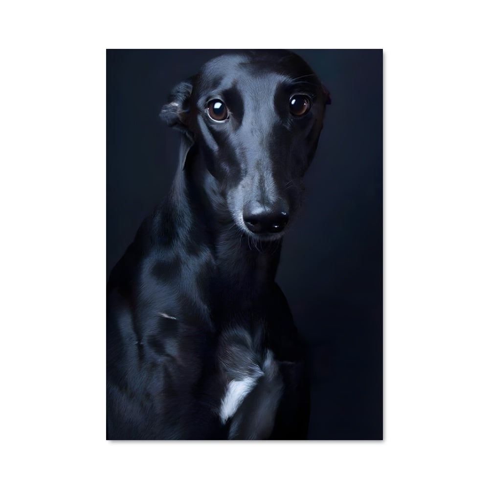 Poster Greyhound 84996