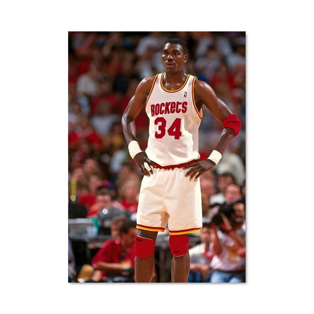 Poster Dream Shake