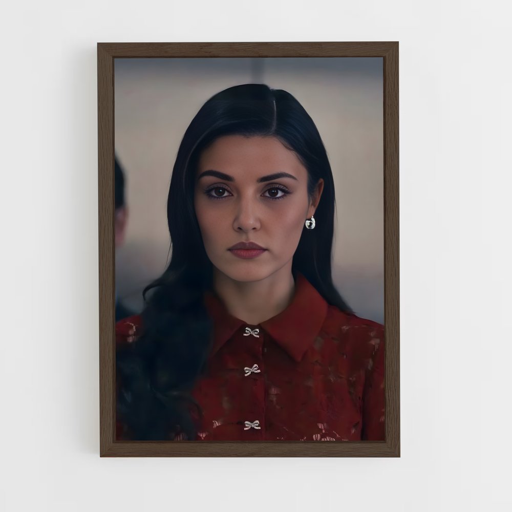 ap-hande ercel-12 cadre Bois foncé