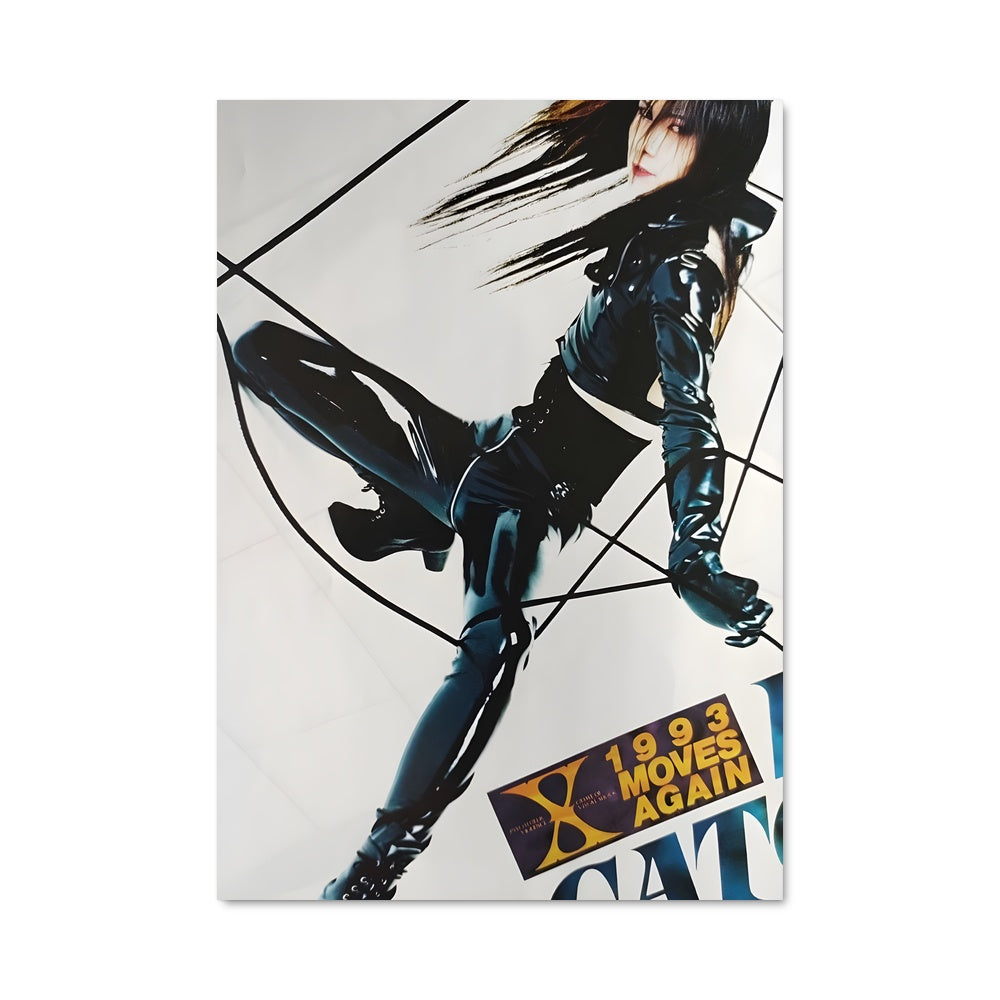 Poster Catwoman Japonais