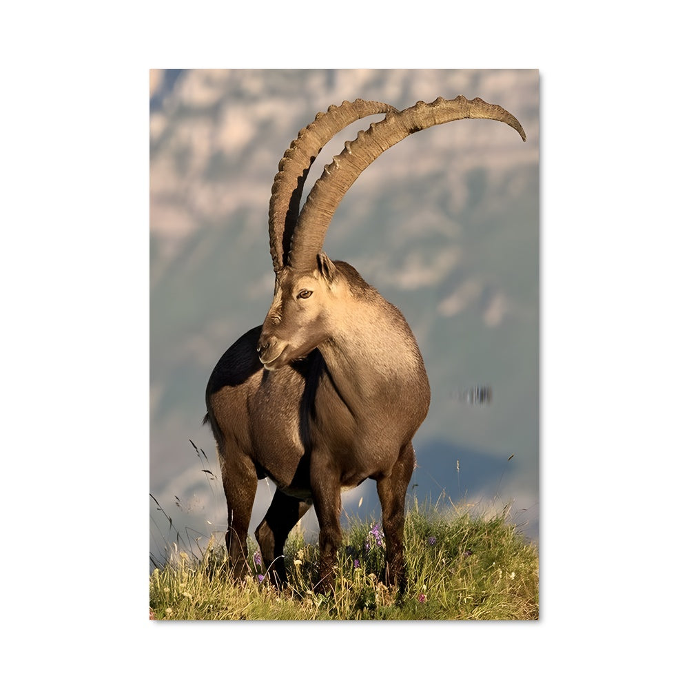 Poster La Chèvre des Cîmes