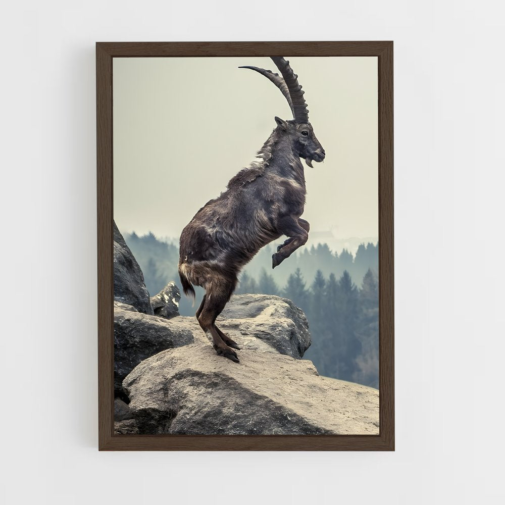 ap-ibex-6 cadre Bois foncé