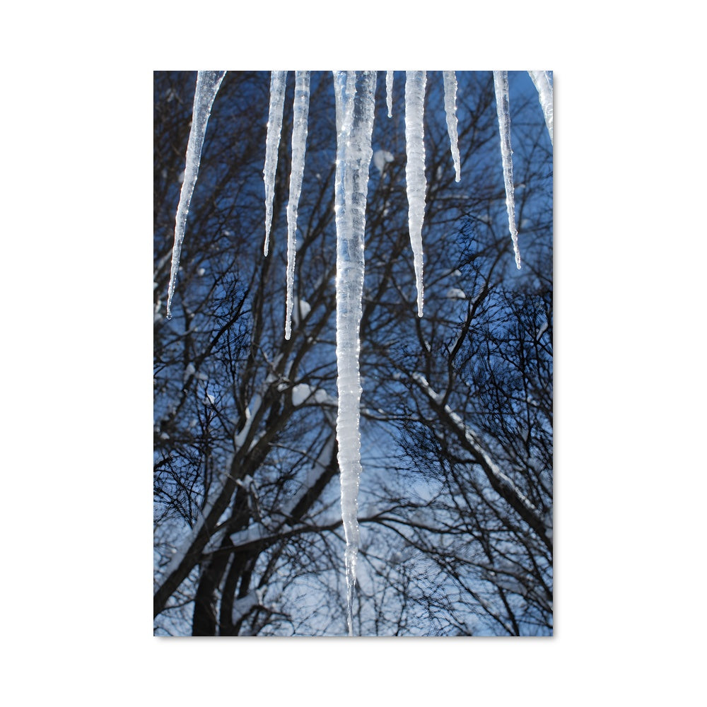 Poster Icicle 96917
