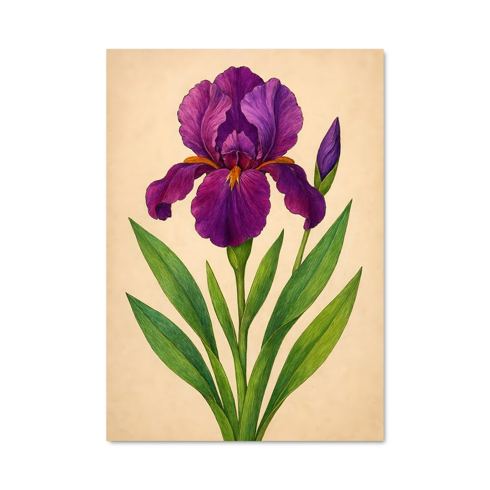 Poster Iris Éblouissant