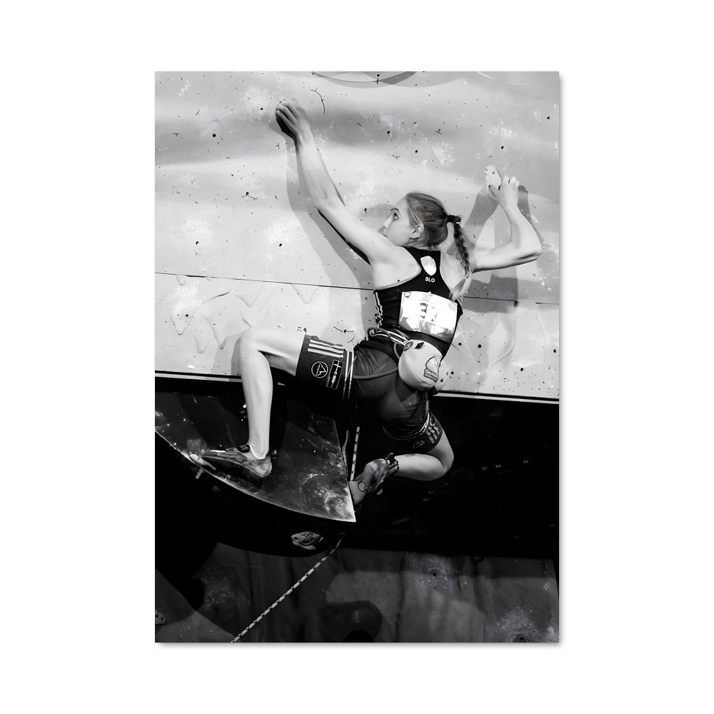 Poster Skate & Fly