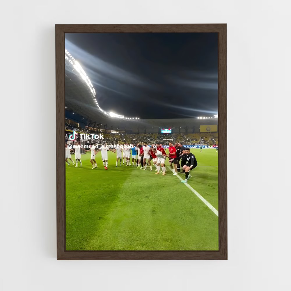 ap-jordan national football team-6 cadre Bois foncé
