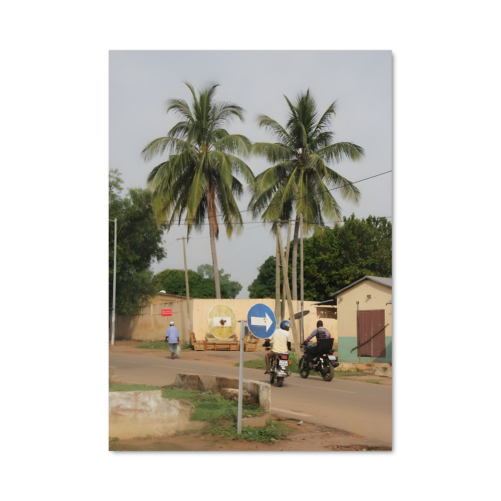 Poster Palmiers Rêveurs