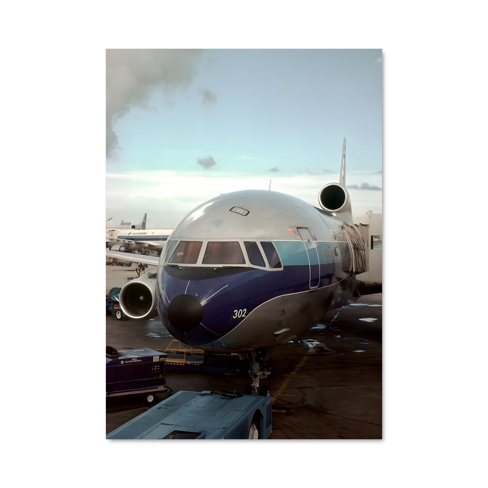 Poster Tristar en Vol