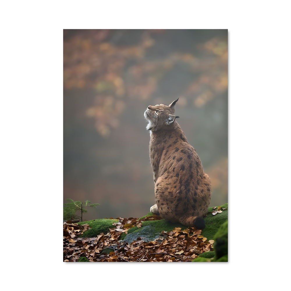 Poster Lynx Mystique