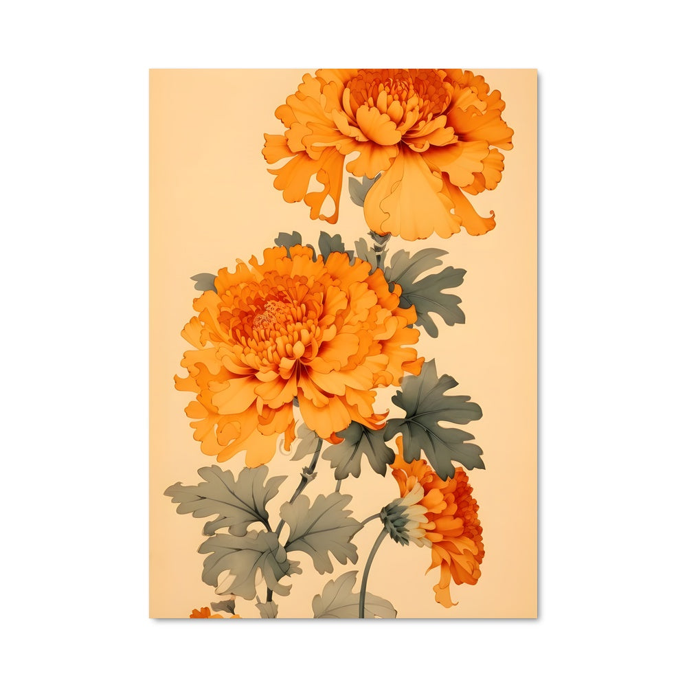 Poster Marigold 96640